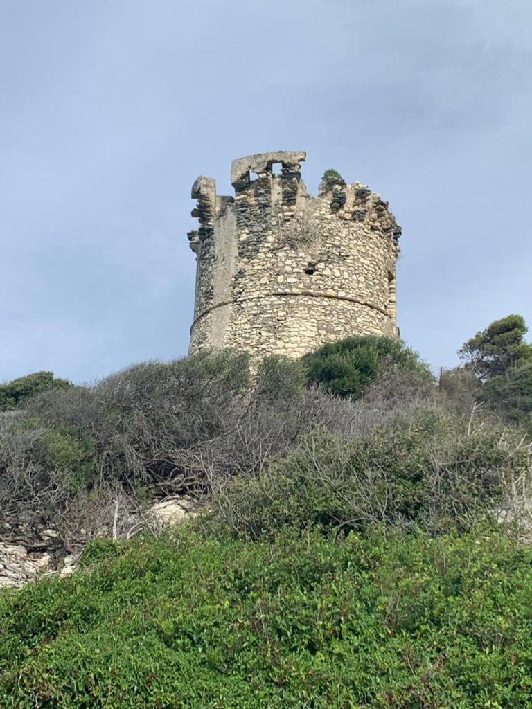 Domaine Amortella Saint-florent * Saint-Florent (Corsica)